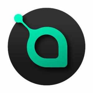 siacoin-ロゴ